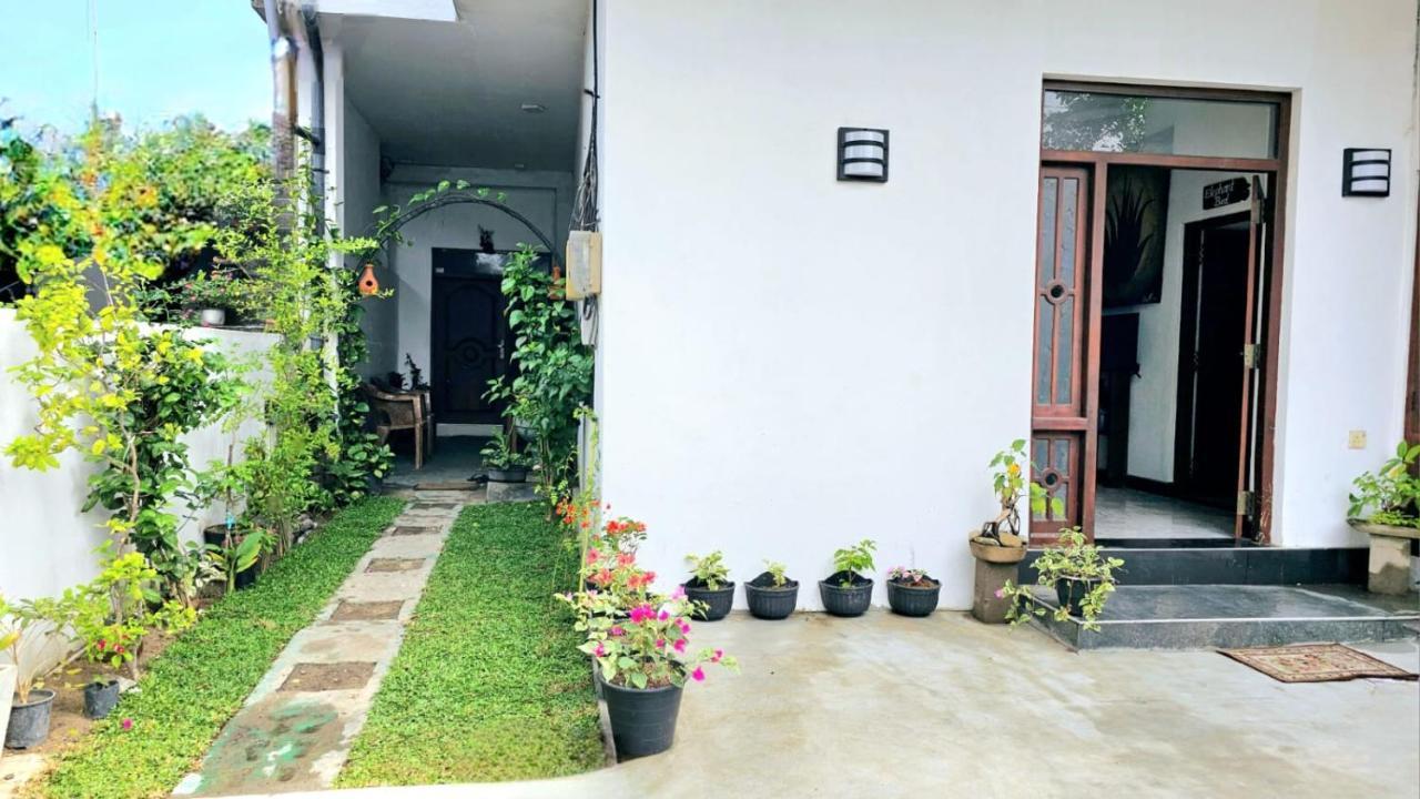 Aloe Vera Villa Negombo Exteriér fotografie