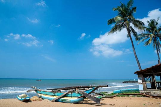 Aloe Vera Villa Negombo Exteriér fotografie