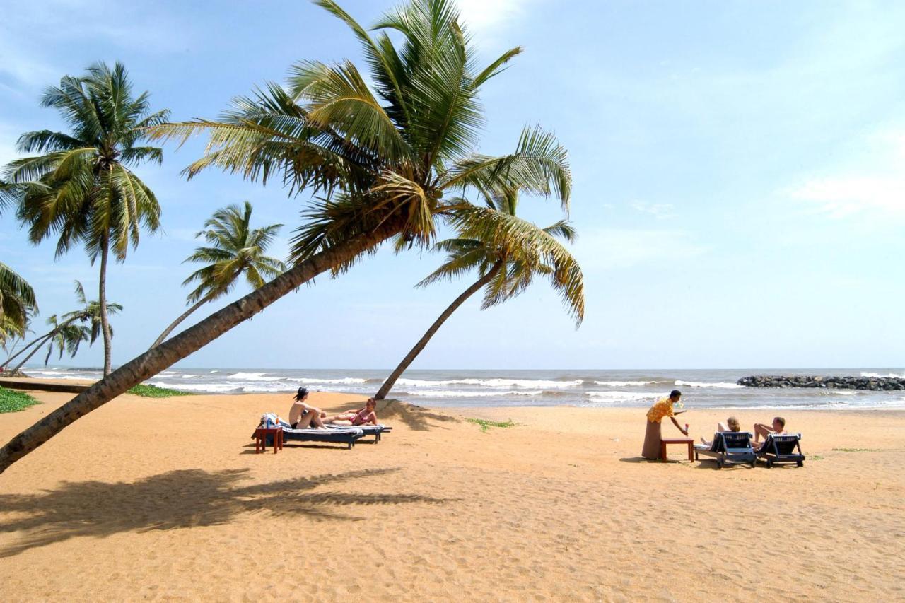 Aloe Vera Villa Negombo Exteriér fotografie